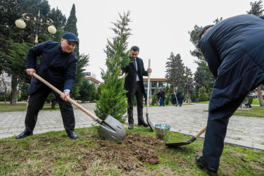 Sabunçu rayonunda “26 fevral – Xocalı soyqırımı”nın 34-cü ildönümü ilə əlaqədar ağacəkmə aksiyası keçirilib