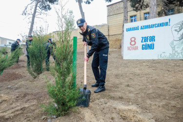 Sabunçu rayonunda “8 Noyabr – Zəfər Günü”nün beşinci ildönümü ilə əlaqədar ağacəkmə aksiyası keçirilib