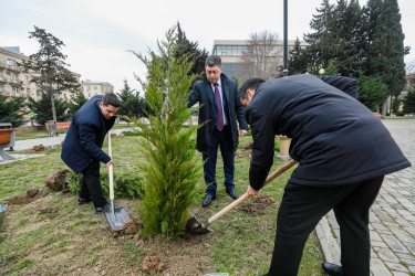 Sabunçu rayonunda “26 fevral – Xocalı soyqırımı”nın 34-cü ildönümü ilə əlaqədar ağacəkmə aksiyası keçirilib