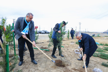 Sabunçu rayonunda Yeni Azərbaycan Partiyasının yaranmasının 32-ci ildönümü münasibətilə ağacəkmə aksiyası keçirildi