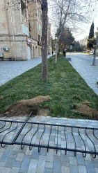 Sabunçu rayonunda abadlıq-quruculuq işləri davam etdirilir