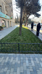 Sabunçu rayonunda abadlıq-quruculuq işləri davam etdirilir