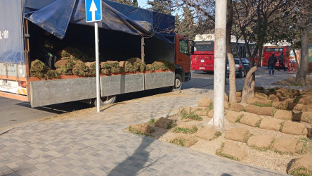 Sabunçu rayonunda abadlıq-quruculuq işləri davam etdirilir