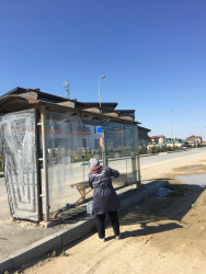 Sabunçu rayon ərazisində genişmiqyaslı iməclik keçirilib