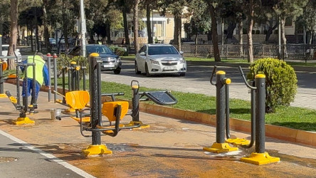 Sabunçu rayon ərazisində genişmiqyaslı iməclik keçirilib