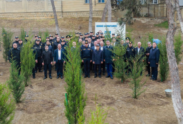 Sabunçu rayonunda “8 Noyabr – Zəfər Günü”nün beşinci ildönümü ilə əlaqədar ağacəkmə aksiyası keçirilib