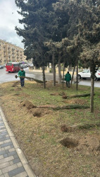 Sabunçu rayonunda abadlıq-quruculuq işləri davam etdirilir