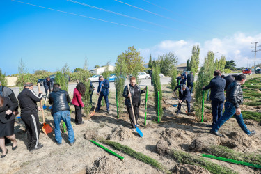 Sabunçu rayonunda “Yaşıl dünya naminə həmrəylik ili” çərçivəsində növbəti ağacəkmə aksiyası keçirildi