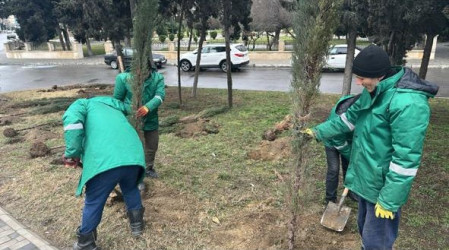 Sabunçu rayonunda abadlıq-quruculuq işləri davam etdirilir