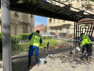 Sabunçu rayon ərazisində genişmiqyaslı iməclik keçirilib