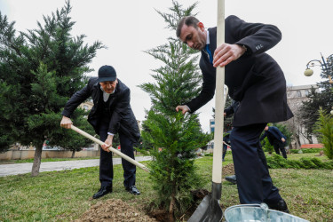 Sabunçu rayonunda “26 fevral – Xocalı soyqırımı”nın 34-cü ildönümü ilə əlaqədar ağacəkmə aksiyası keçirilib