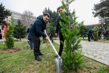 Sabunçu rayonunda “26 fevral – Xocalı soyqırımı”nın 34-cü ildönümü ilə əlaqədar ağacəkmə aksiyası keçirilib