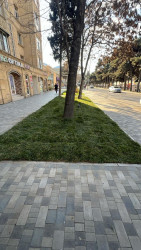 Sabunçu rayonunda abadlıq-quruculuq işləri davam etdirilir