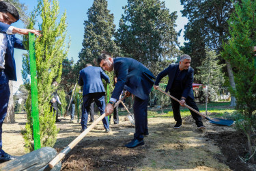 Sabunçu rayonunda “27 sentyabr – Anım Günü” nün beşinci ildönümü ilə əlaqədar ağacəkmə aksiyası keçirildi