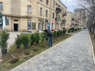 Sabunçu rayonunda abadlıq-quruculuq işləri davam etdirilir