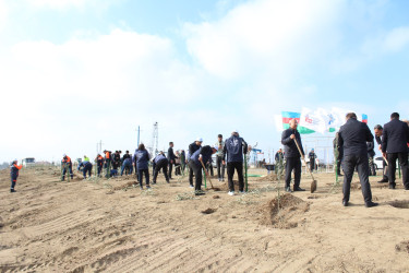 Sabunçu rayonunda Yeni Azərbaycan Partiyasının (YAP) yaradılmasının 33 illiyinə həsr olunmuş ağacəkmə aksiyası keçirilib