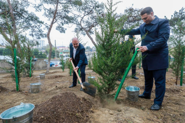 Sabunçu rayonunda “8 Noyabr – Zəfər Günü”nün beşinci ildönümü ilə əlaqədar ağacəkmə aksiyası keçirilib
