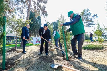 Sabunçu rayonunda “27 sentyabr – Anım Günü” nün beşinci ildönümü ilə əlaqədar ağacəkmə aksiyası keçirildi