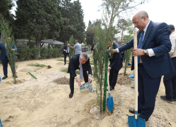 Sabunçu rayonunda “27 sentyabr – Anım Günü” ilə əlaqədar ağacəkmə aksiyası keçirildi