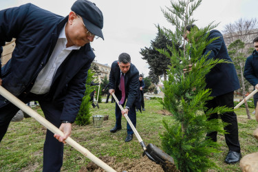 Sabunçu rayonunda “26 fevral – Xocalı soyqırımı”nın 34-cü ildönümü ilə əlaqədar ağacəkmə aksiyası keçirilib