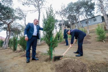Sabunçu rayonunda “8 Noyabr – Zəfər Günü”nün beşinci ildönümü ilə əlaqədar ağacəkmə aksiyası keçirilib