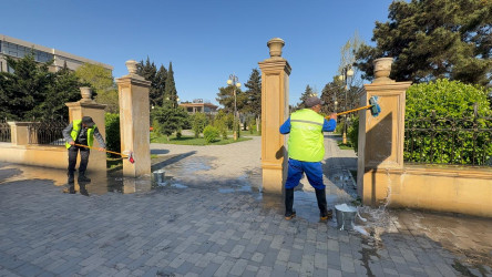 Sabunçu rayon ərazisində genişmiqyaslı iməclik keçirilib