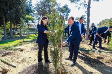 Sabunçu rayonunda “27 sentyabr – Anım Günü” nün beşinci ildönümü ilə əlaqədar ağacəkmə aksiyası keçirildi
