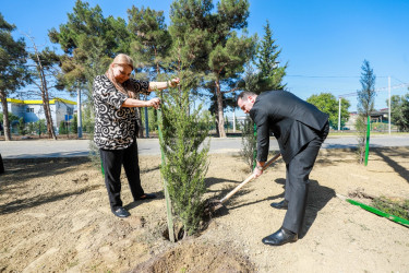 Sabunçu rayonunda “27 sentyabr – Anım Günü” nün beşinci ildönümü ilə əlaqədar ağacəkmə aksiyası keçirildi