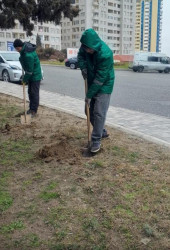 Sabunçu rayonunda abadlıq-quruculuq işləri davam etdirilir