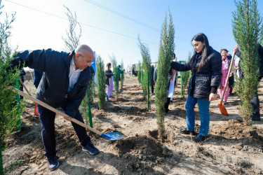 Sabunçu rayonunda “Yaşıl dünya naminə həmrəylik ili” çərçivəsində növbəti ağacəkmə aksiyası keçirildi