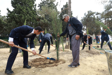 Sabunçu rayonunda “27 sentyabr – Anım Günü” ilə əlaqədar ağacəkmə aksiyası keçirildi