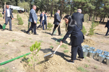 Sabunçu rayonunda “27 sentyabr – Anım Günü” ilə əlaqədar ağacəkmə aksiyası keçirildi