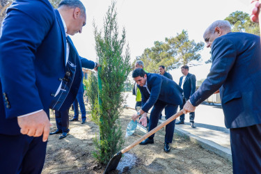 Sabunçu rayonunda “27 sentyabr – Anım Günü” nün beşinci ildönümü ilə əlaqədar ağacəkmə aksiyası keçirildi