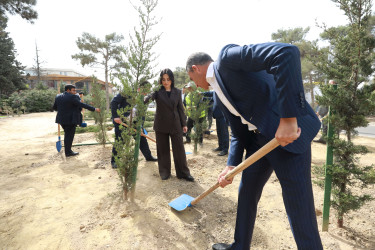 Sabunçu rayonunda “27 sentyabr – Anım Günü” ilə əlaqədar ağacəkmə aksiyası keçirildi