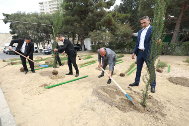 Sabunçu rayonunda “27 sentyabr – Anım Günü” ilə əlaqədar ağacəkmə aksiyası keçirildi