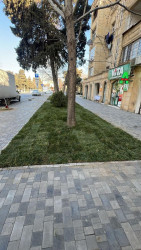 Sabunçu rayonunda abadlıq-quruculuq işləri davam etdirilir