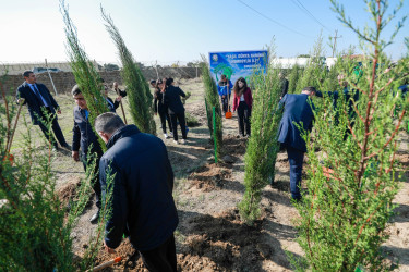 Sabunçu rayonunda “Yaşıl dünya naminə həmrəylik ili” çərçivəsində növbəti ağacəkmə aksiyası keçirildi