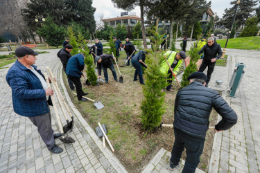 Sabunçu rayonunda “26 fevral – Xocalı soyqırımı”nın 34-cü ildönümü ilə əlaqədar ağacəkmə aksiyası keçirilib