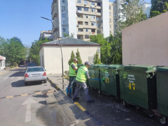 Sabunçu rayonunda genişmiqyaslı iməclik işləri aparılıb