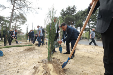 Sabunçu rayonunda “27 sentyabr – Anım Günü” ilə əlaqədar ağacəkmə aksiyası keçirildi